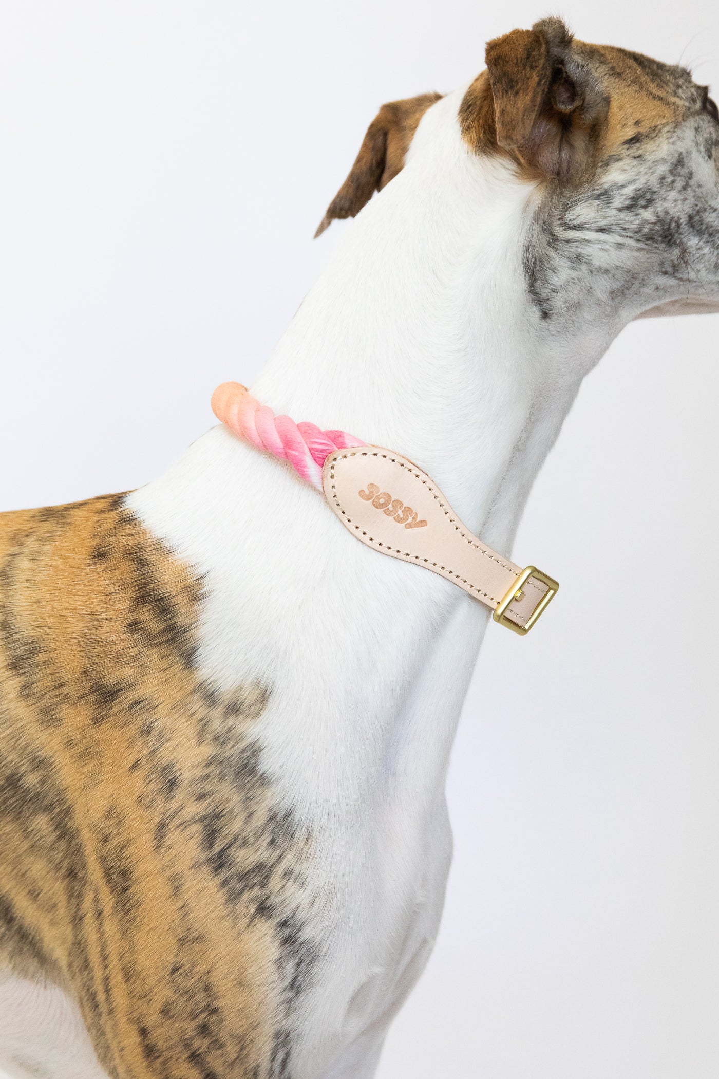 Paddle pop leather collar