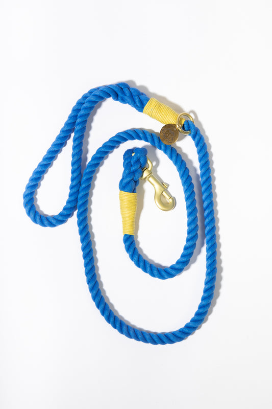 Royal blue rope leash