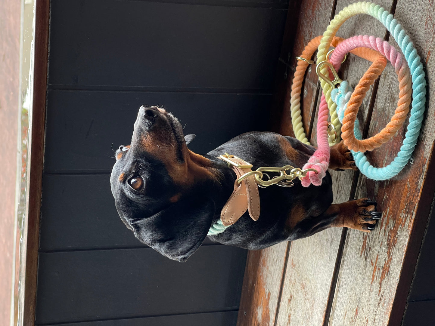 Paddle pop multi-function rope leash